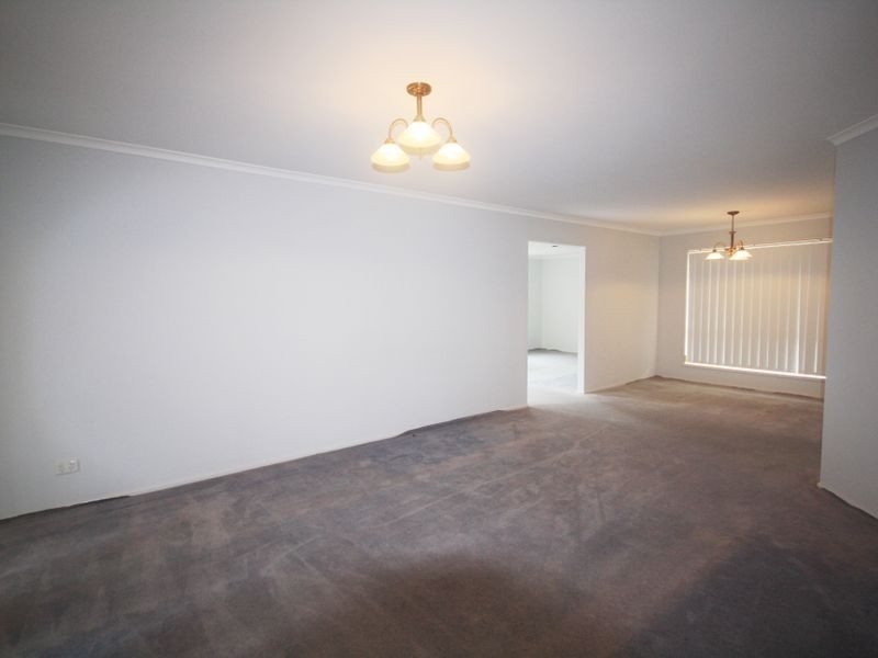 20 Eden Elm Street, Calamvale QLD 4116