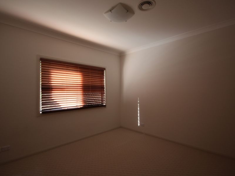 16 Elm Street, Stretton QLD 4116