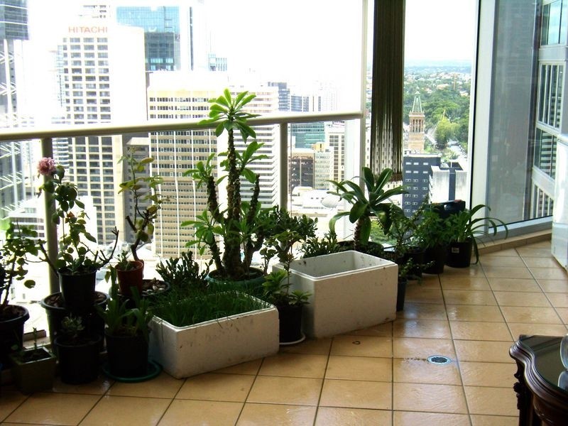 3407/70 Mary Street, Brisbane QLD 4000