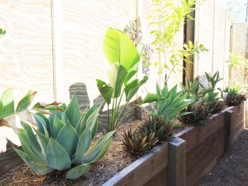 64 Larapinta Cct, Parkinson QLD 4115