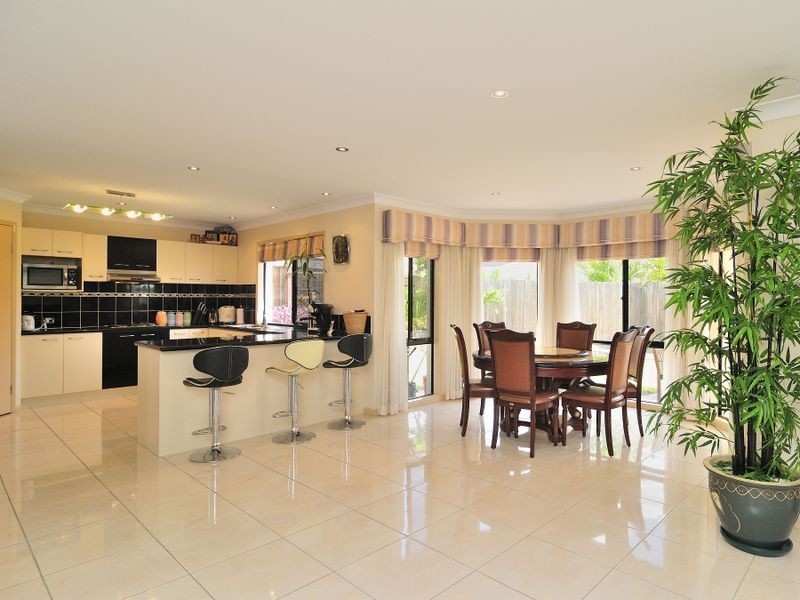 51 Willowleaf Close, Stretton QLD 4116