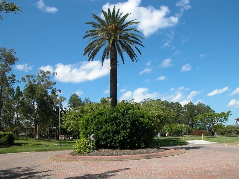 118 The Avenue, Sunnybank Hills QLD 4109