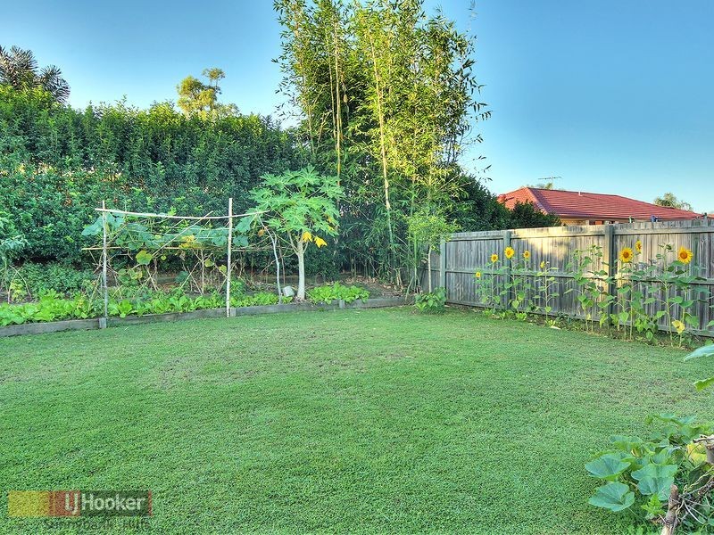 70 Honeysuckle Way, Calamvale QLD 4116