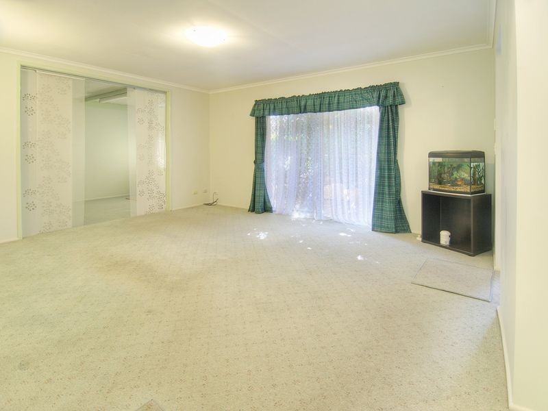 17 Bluegum Street, Macgregor QLD 4109