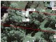 64-66 Loganlea Road, Loganlea QLD 4131