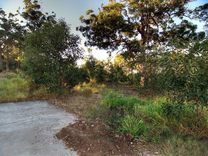 6 Bradford Place, Kuraby QLD 4112