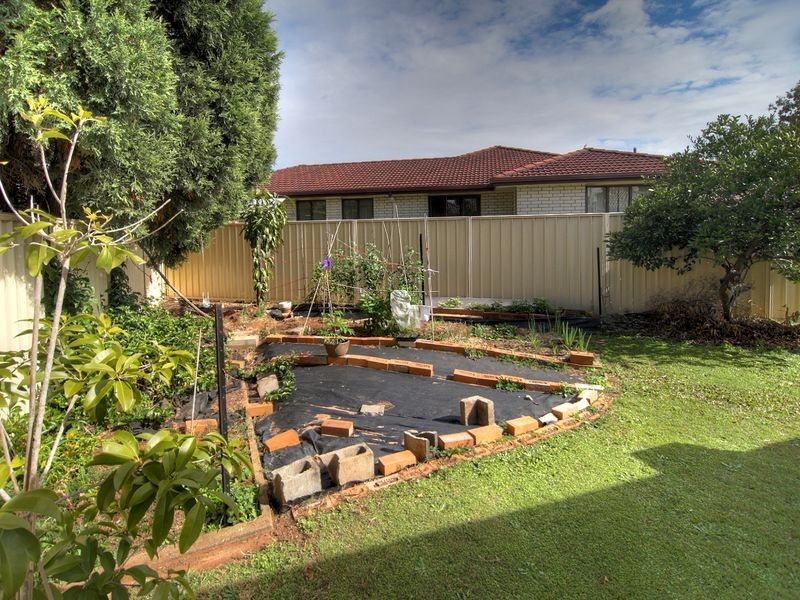 4 Acorus Place, Sunnybank QLD 4109