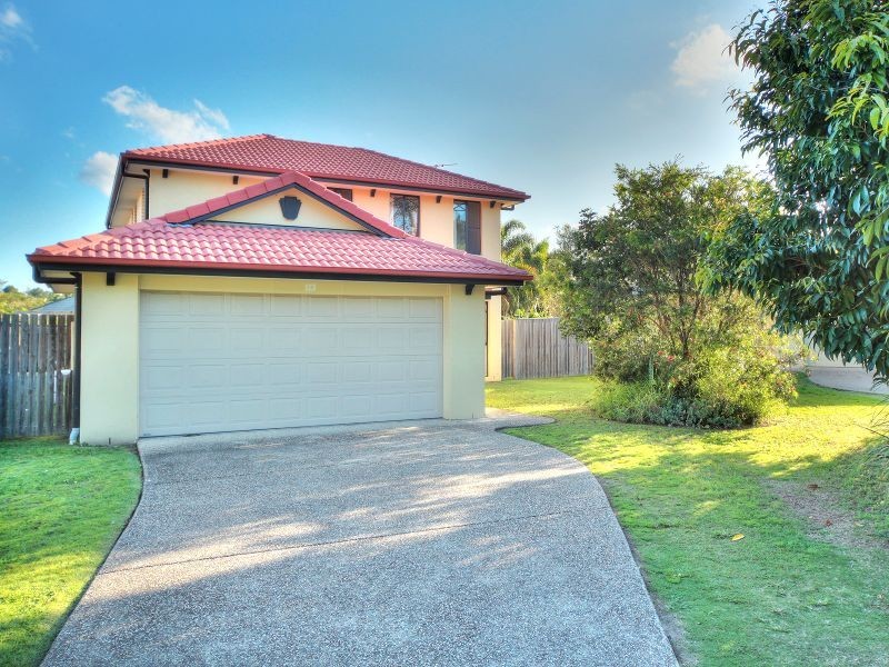 16 Tuckeroo Place, Sunnybank Hills QLD 4109