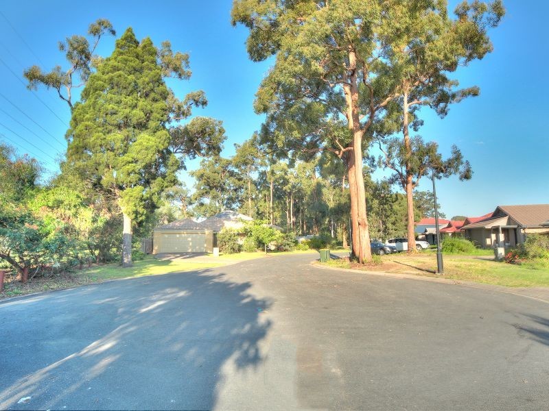 16 Tuckeroo Place, Sunnybank Hills QLD 4109