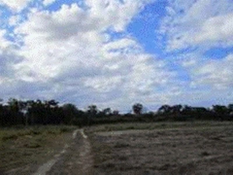 126 Koplick Rd, Chambers Flat QLD 4133