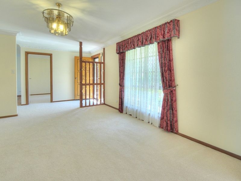 8 Radiata Street, Sunnybank Hills QLD 4109