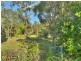 17 Bluegum Street, Macgregor QLD 4109