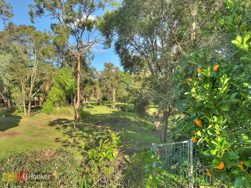 17 Bluegum Street, Macgregor QLD 4109