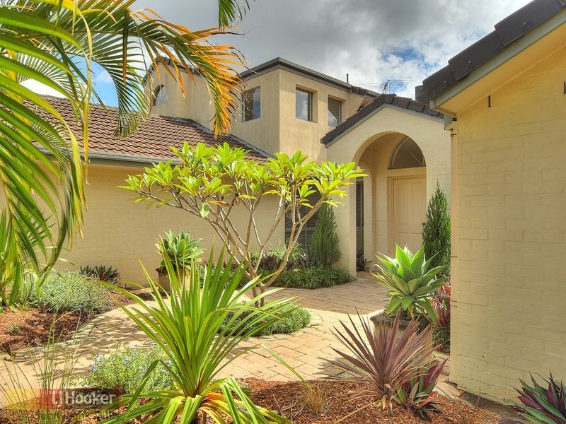 94 Lynelle Street, Sunnybank Hills QLD 4109