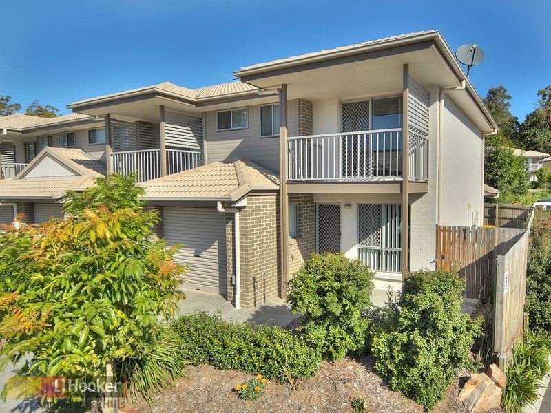 66/2311 Logan Road, Eight Mile Plains QLD 4113