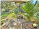 41 Pear Street, Runcorn QLD 4113