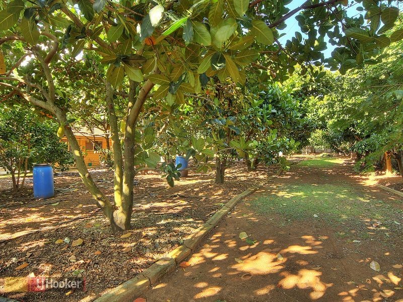 39 Borella Road, Sunnybank Hills QLD 4109