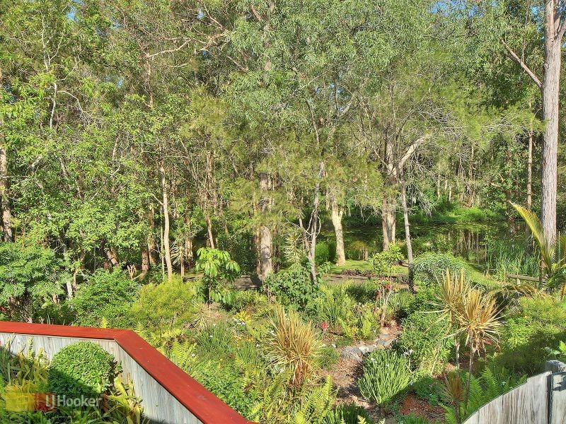 35 Cottonwood Crescent, Calamvale QLD 4116