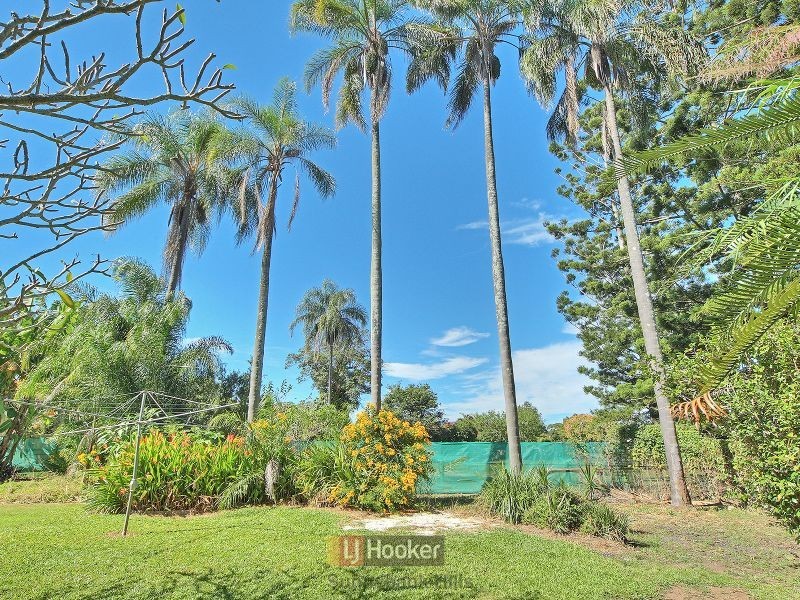 21 Jales Street, Sunnybank Hills QLD 4109