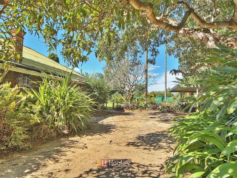 21 Jales Street, Sunnybank Hills QLD 4109