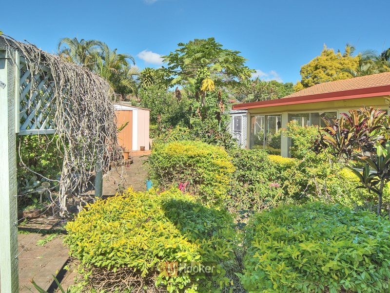17 Cherrywood Street, Sunnybank Hills QLD 4109