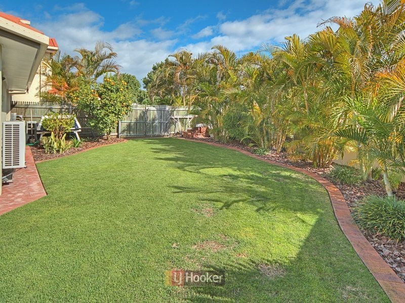 6 Tamarisk Way, Drewvale QLD 4116