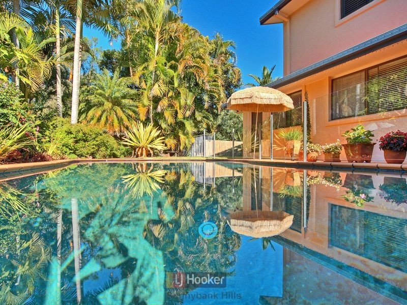 31 Pinecone Street, Sunnybank QLD 4109