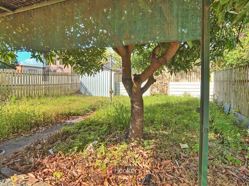 62 Bradman Street, Sunnybank Hills QLD 4109