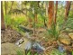 113 Lincoln Green Drive, Forestdale QLD 4118
