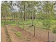 190 Bush Tucker Road, Berrinba QLD 4117