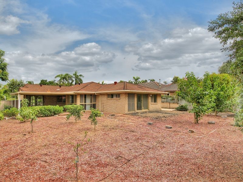 14 Bottletree Place, Calamvale QLD 4116