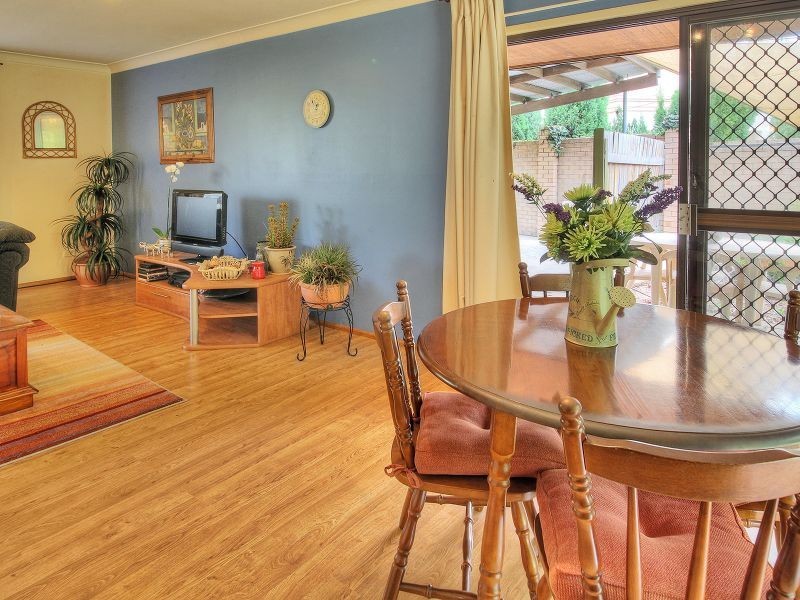 20 Excelsa Street, Sunnybank Hills QLD 4109