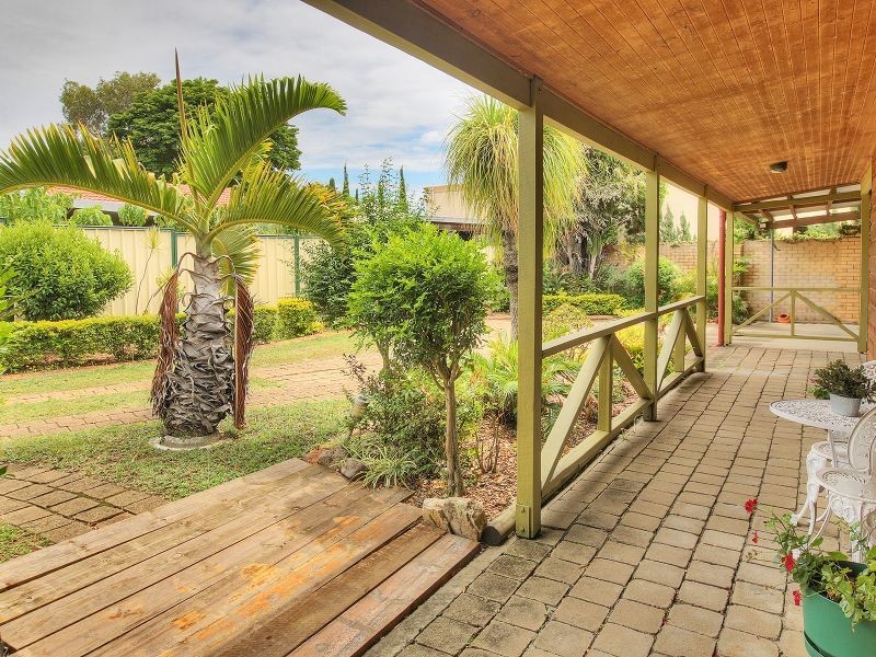 20 Excelsa Street, Sunnybank Hills QLD 4109