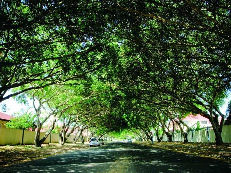 2/1-23 Pearl Frost Place, Sunnybank Hills QLD 4109