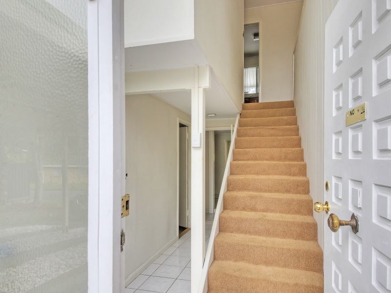 19 Christopher Street, Sunnybank Hills QLD 4109