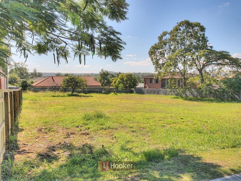 31 Landseer Street, Sunnybank Hills QLD 4109