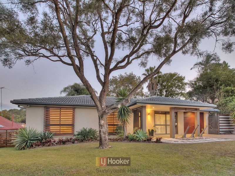 39 Analese Street, Sunnybank Hills QLD 4109