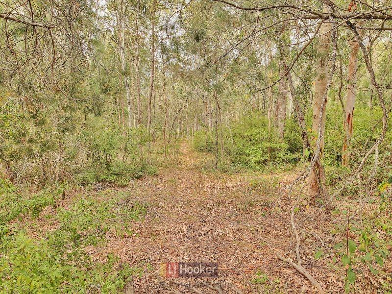 51 Hunter Road, Greenbank QLD 4124