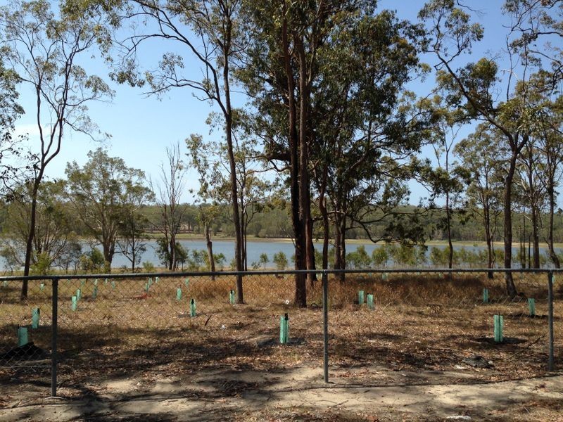 81 Cherbon Street, Burbank QLD 4156