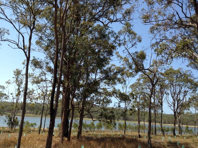 81 Cherbon Street, Burbank QLD 4156