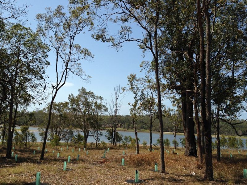 81 Cherbon Street, Burbank QLD 4156