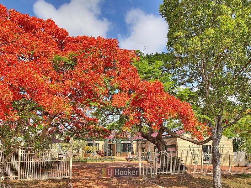 10 Shelley Street, Sunnybank QLD 4109