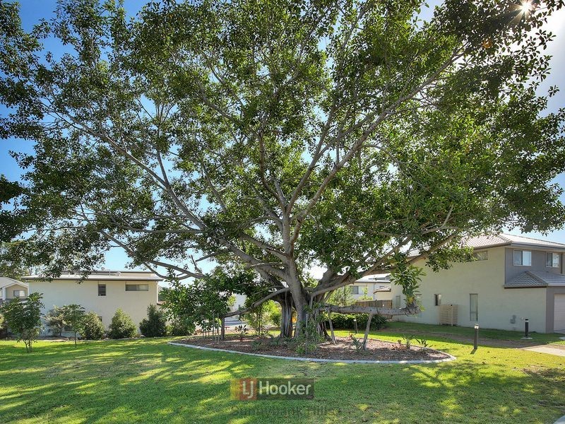 42/88 Shelduck Place, Calamvale QLD 4116