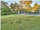 14 Feather Close, Forestdale QLD 4118