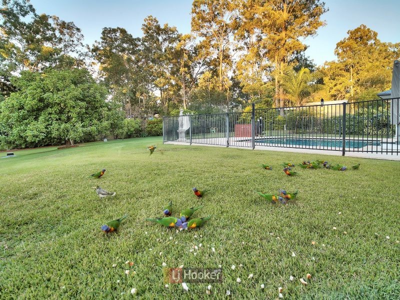 14 Feather Close, Forestdale QLD 4118