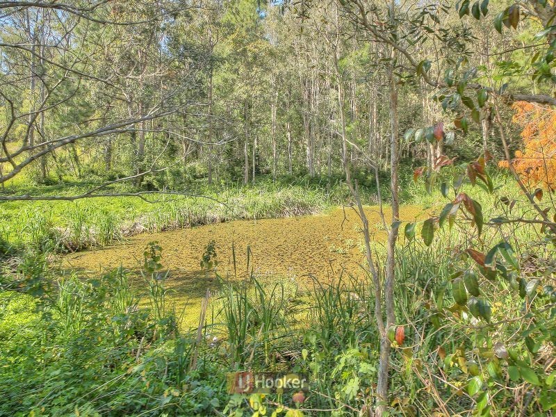 115 Menser Street, Calamvale QLD 4116