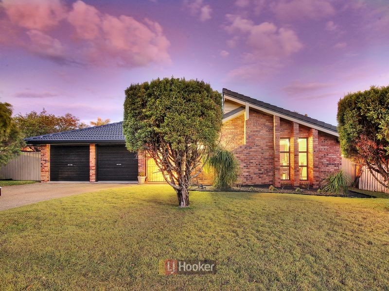 87 Driftwood Street, Sunnybank Hills QLD 4109