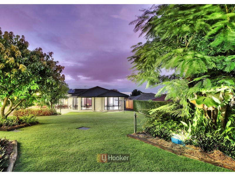 53 Dalmeny Street, Algester QLD 4115