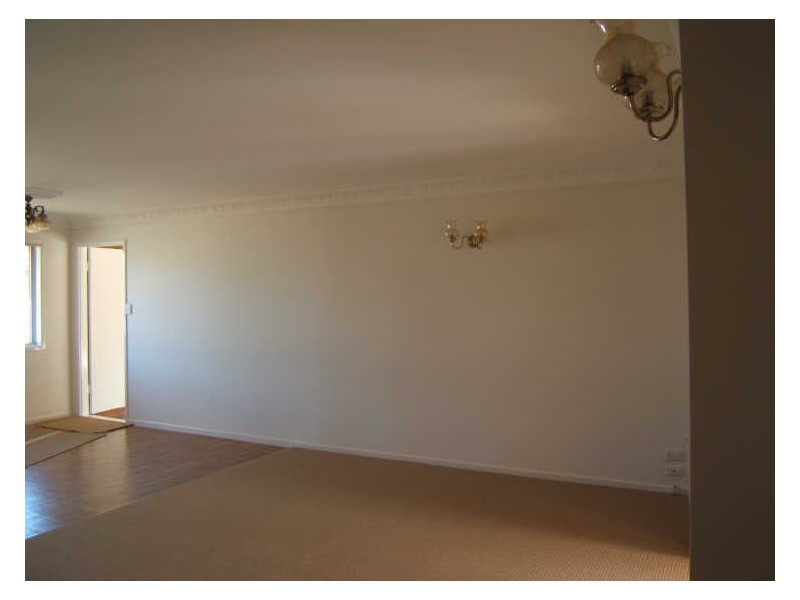 37 Cherrywood Street, Sunnybank Hills QLD 4109