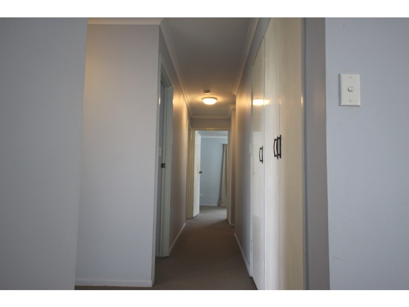 44 Portulaca Street, Macgregor QLD 4109